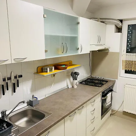 Daire Raluca - Self Check-in Temeşvar