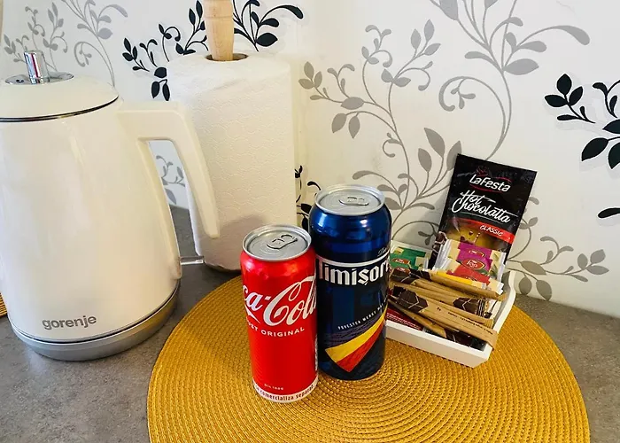 Raluca - Self Check-in *