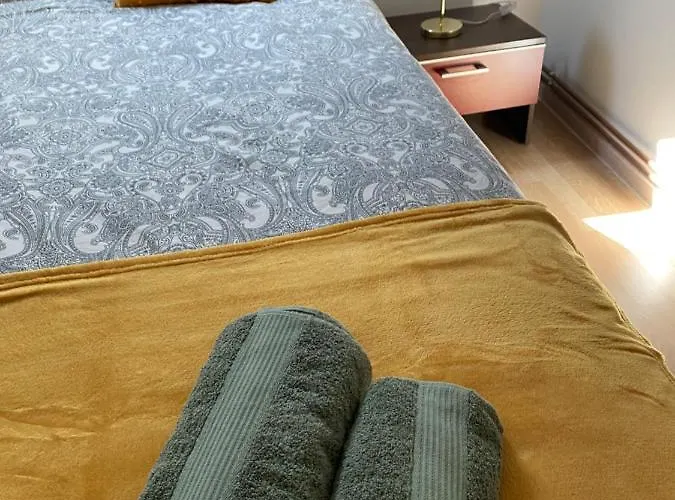 Appartement Raluca - Self Check-in *