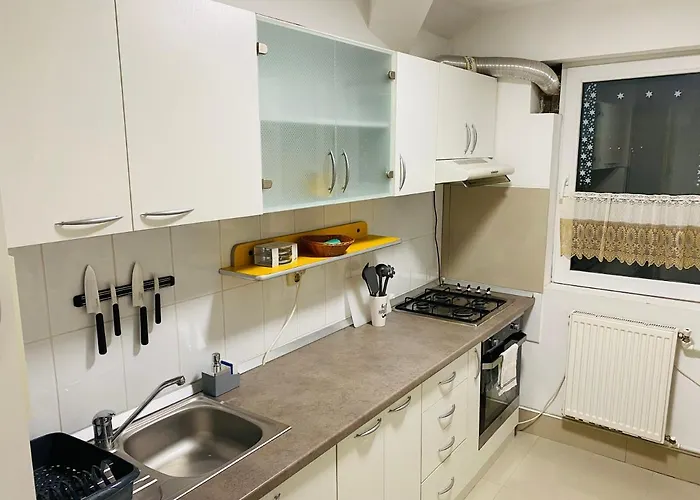 Appartement Raluca - Self Check-in Timişoara