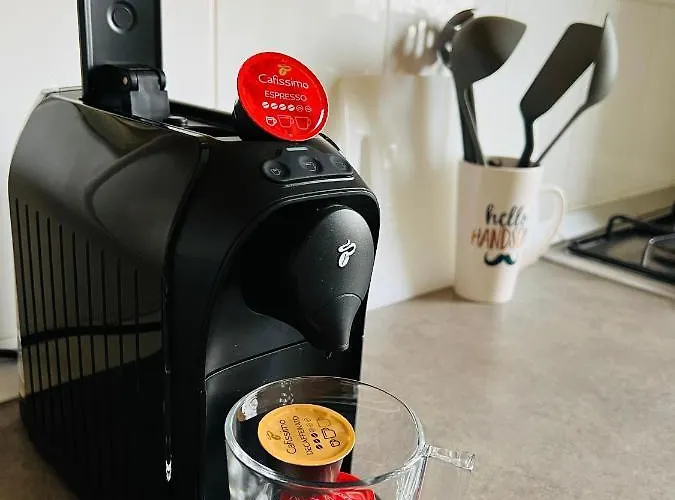 Raluca - Self Check-in * Timişoara